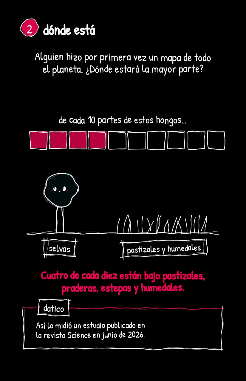 Pastito, página 3