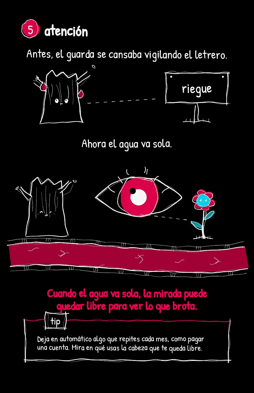 Acequita, página 6