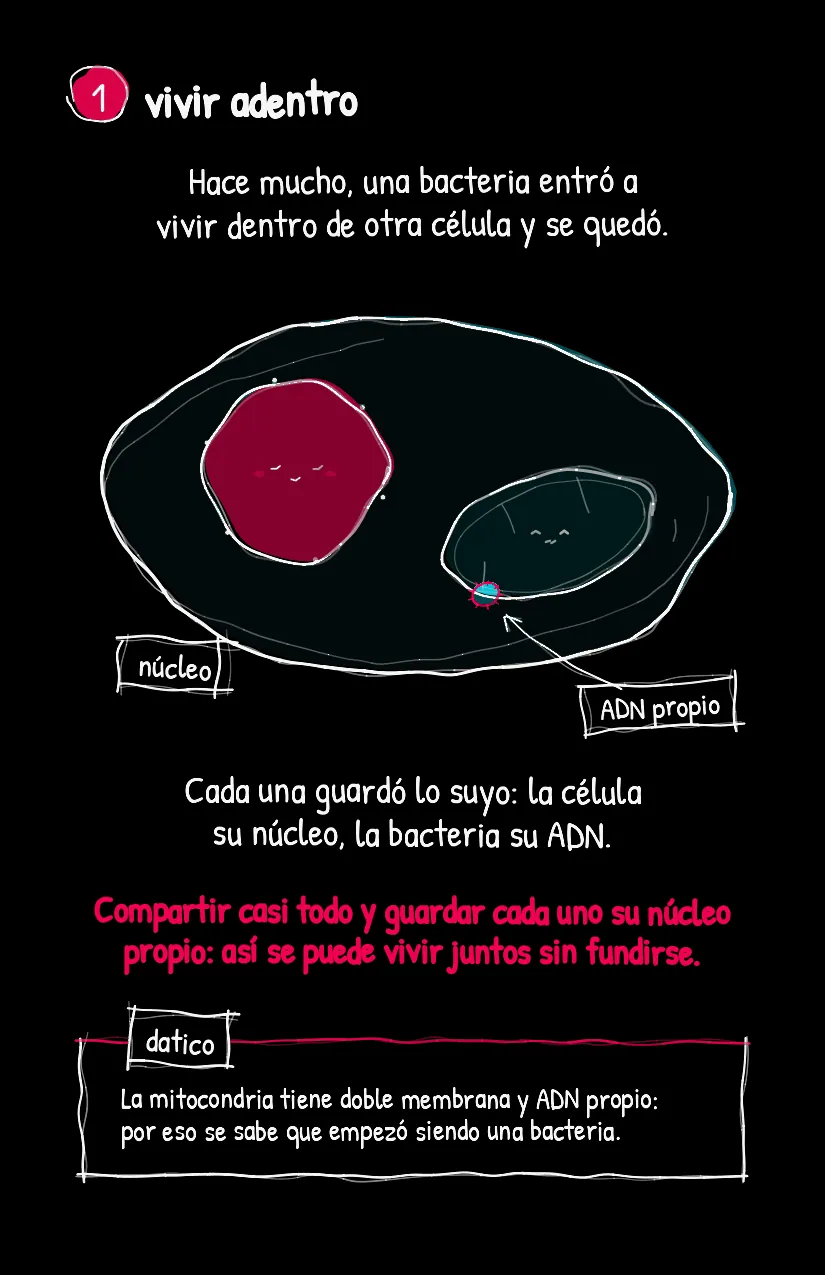 Juntitos, página 3