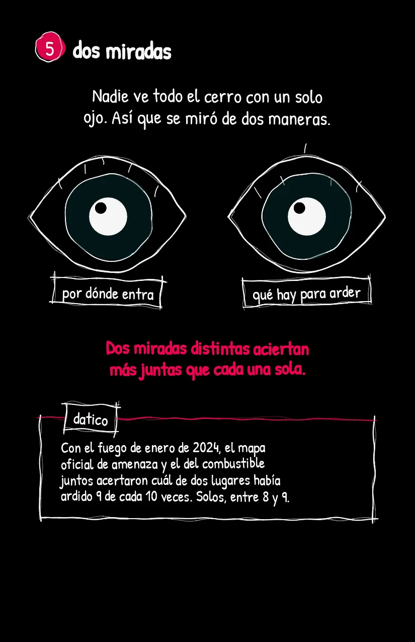 Brasita, página 6