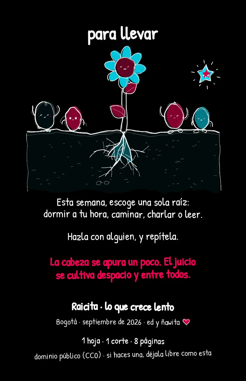 Raicita, página 8