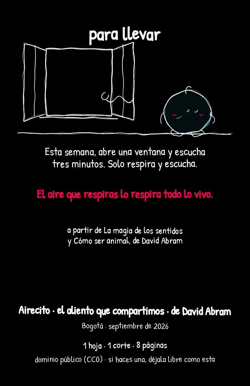 Airecito, página 8