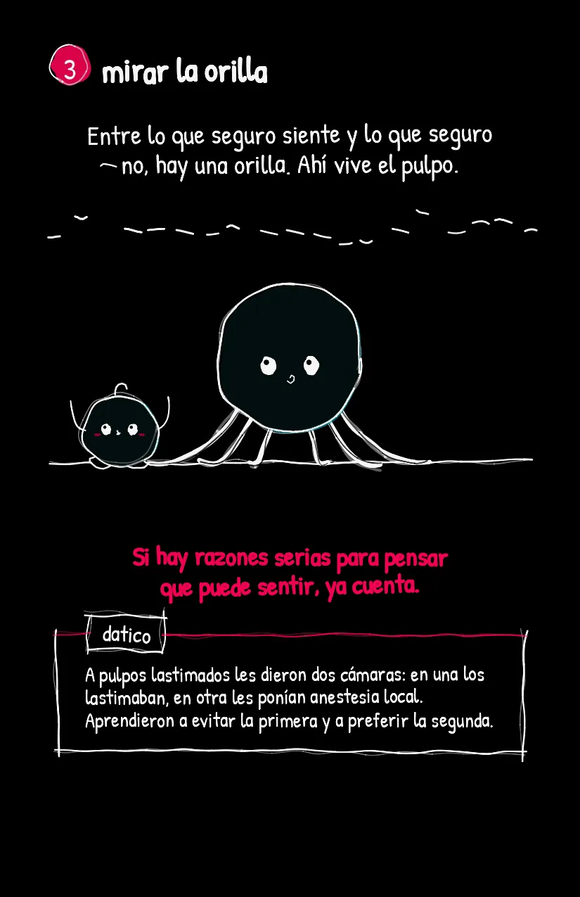 Bordecito, página 4