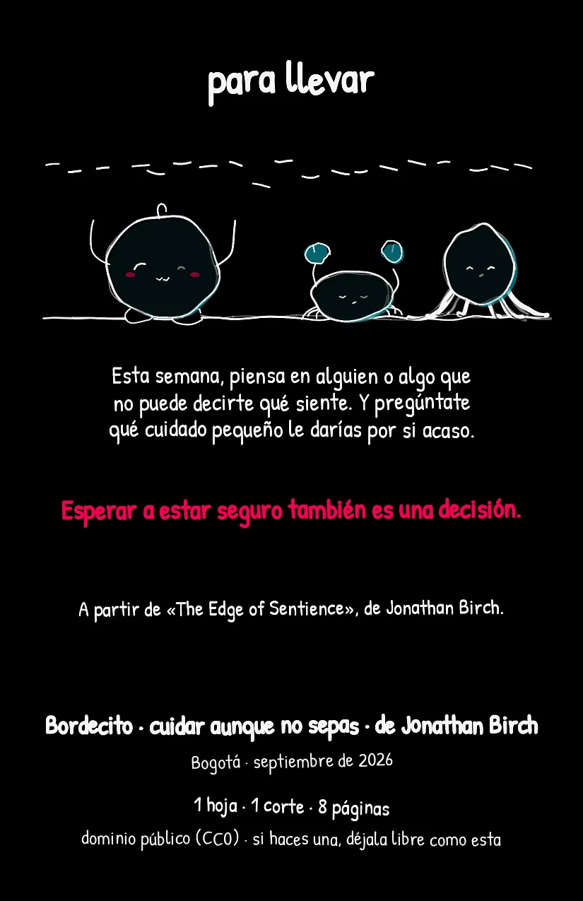 Bordecito, página 8
