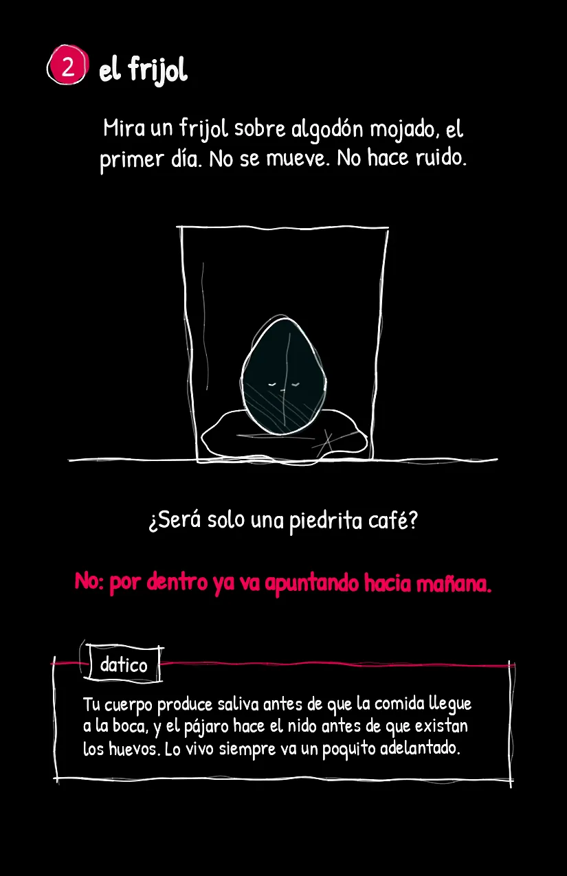 Frijolito, página 3