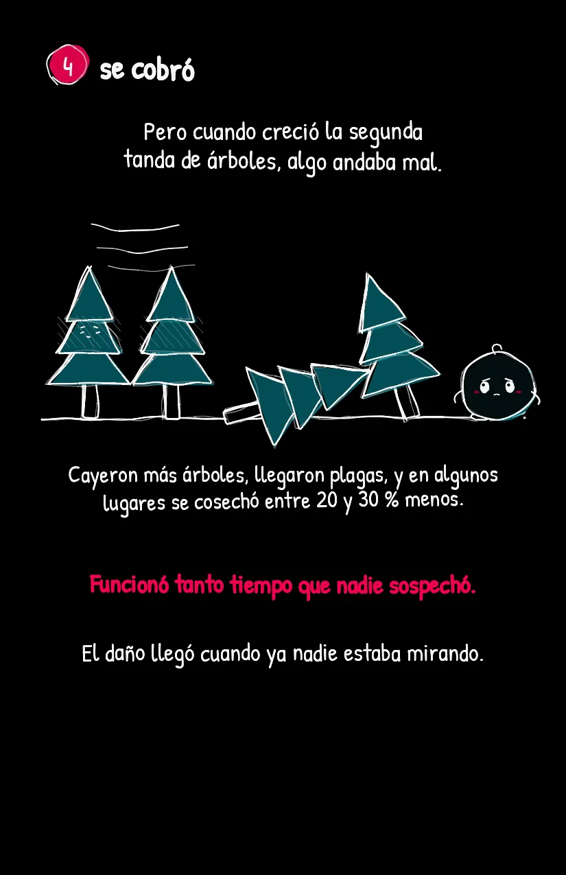 Mirillita, página 5