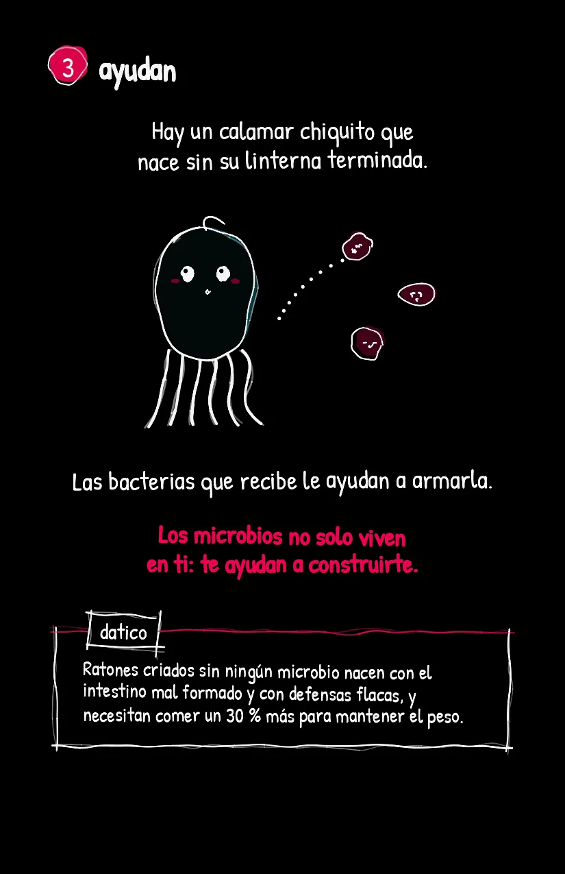 Multitudita, página 4