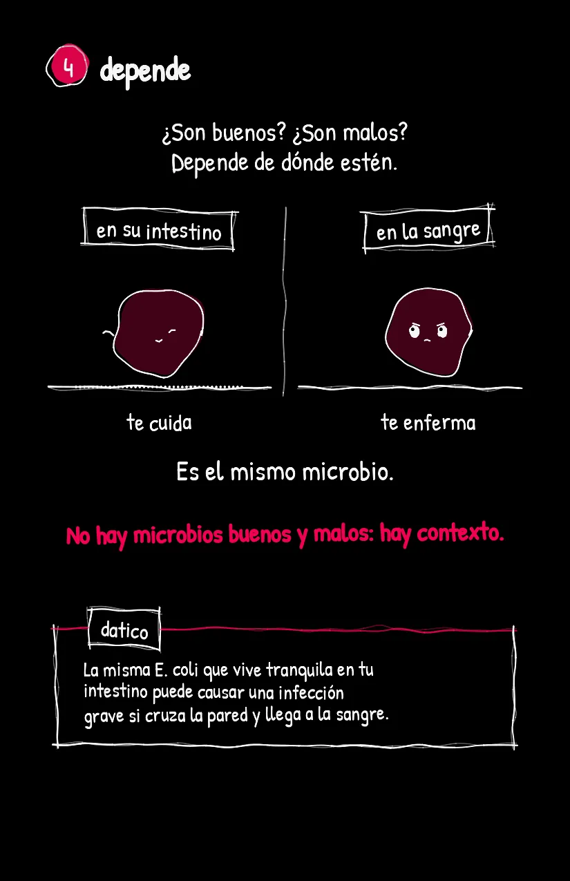 Multitudita, página 5