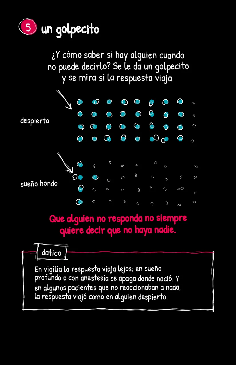 Ovillito, página 6