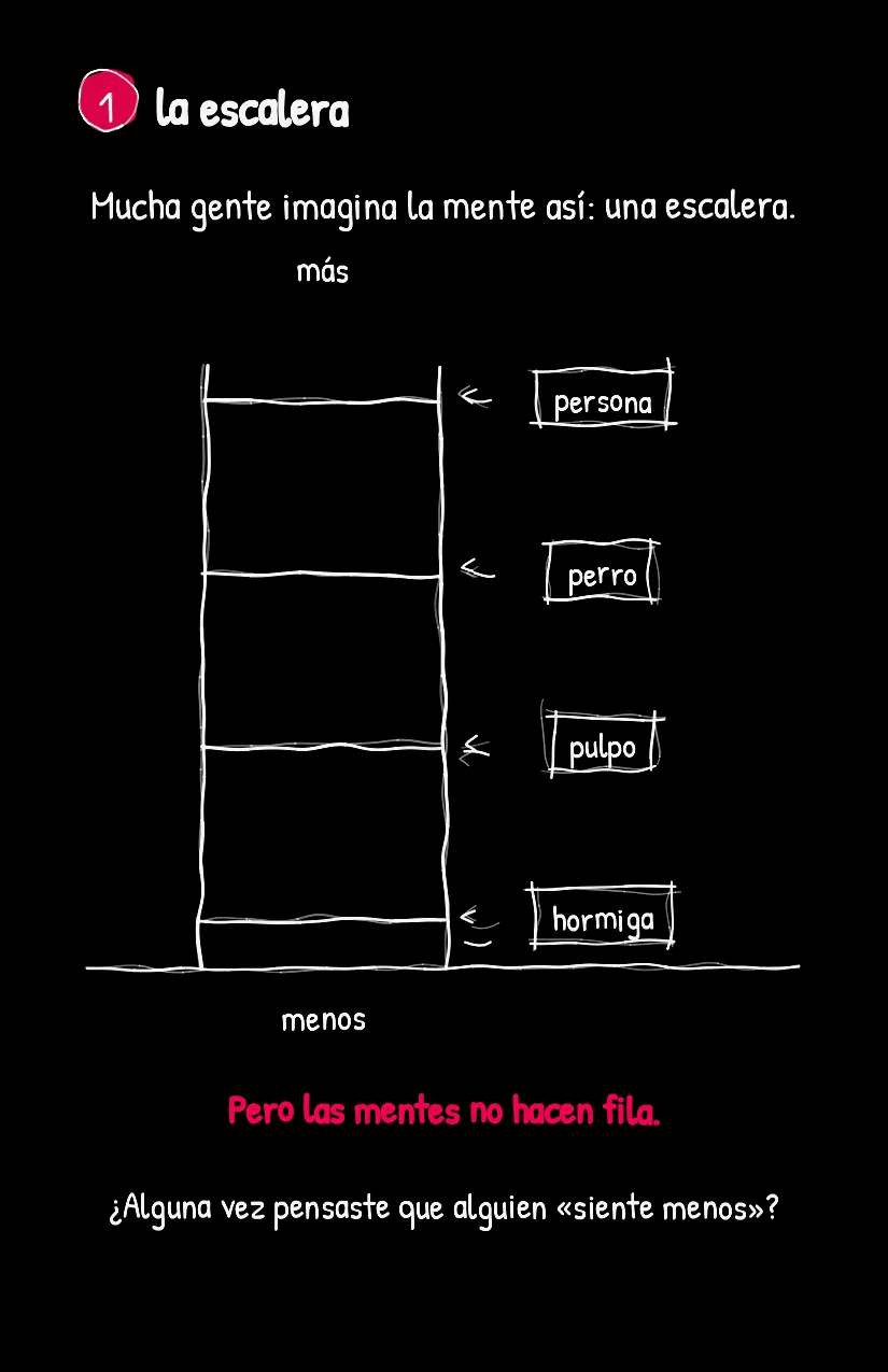 Pulpito, página 2