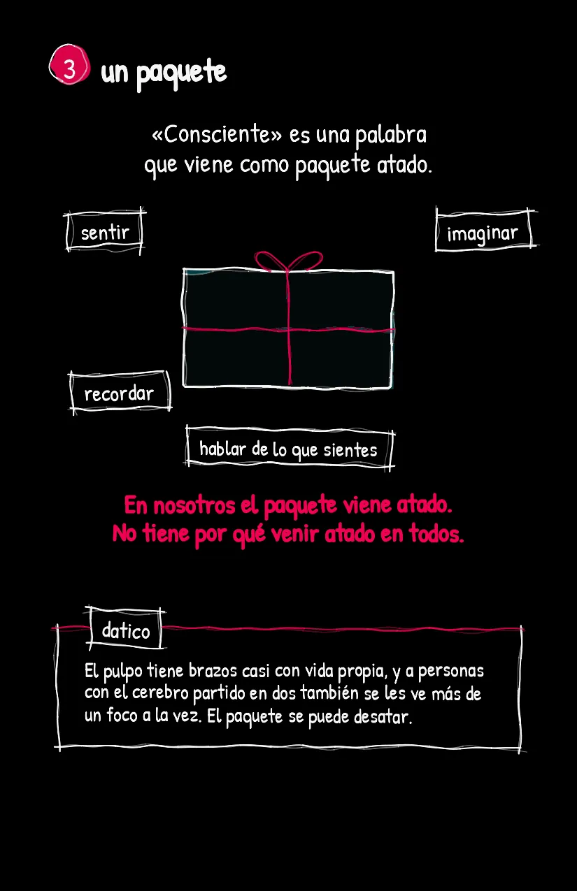 Pulpito, página 4