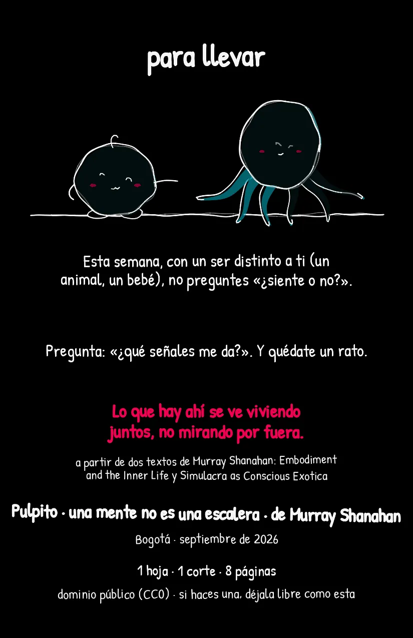 Pulpito, página 8
