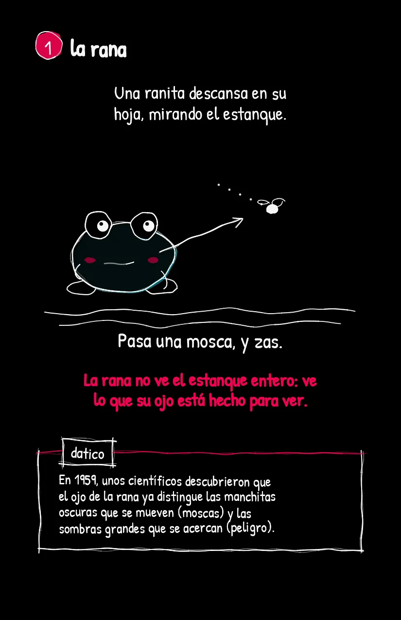 Ranita, página 2