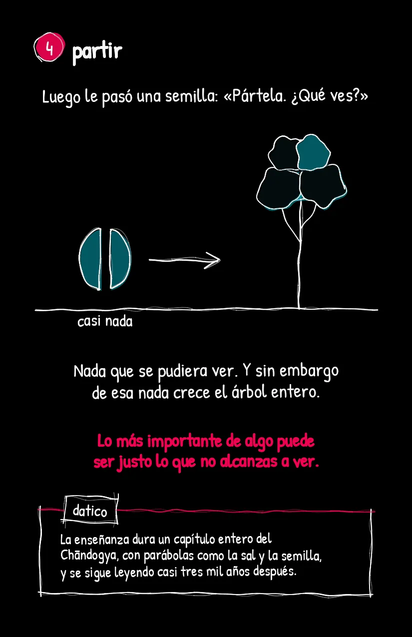 Salcita, página 5