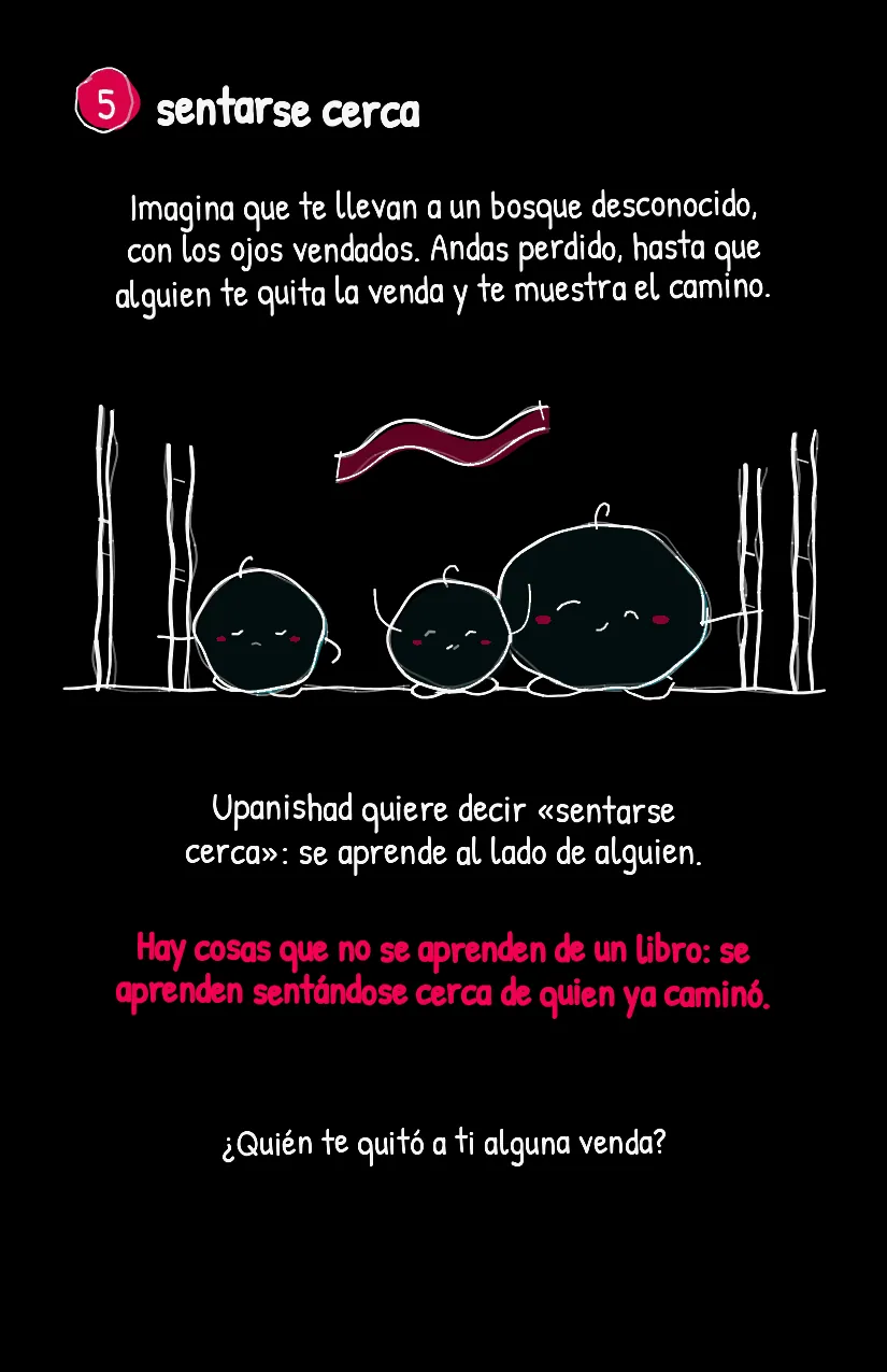 Salcita, página 6