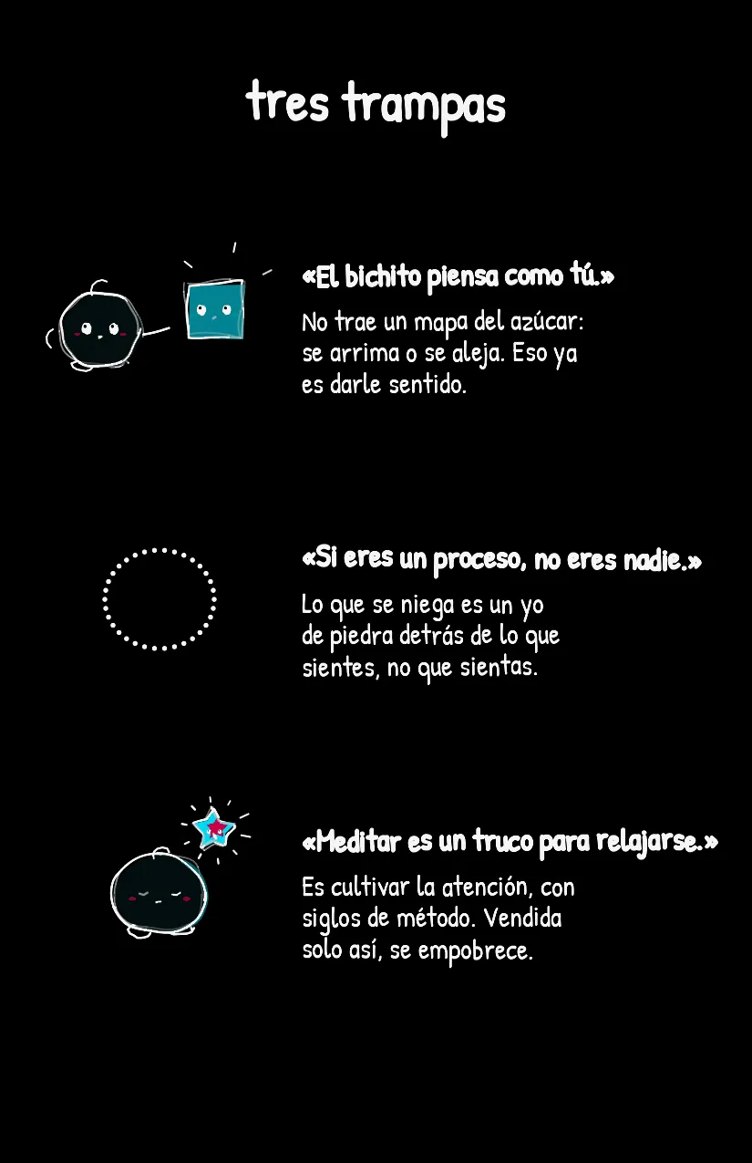 Sentidito, página 7