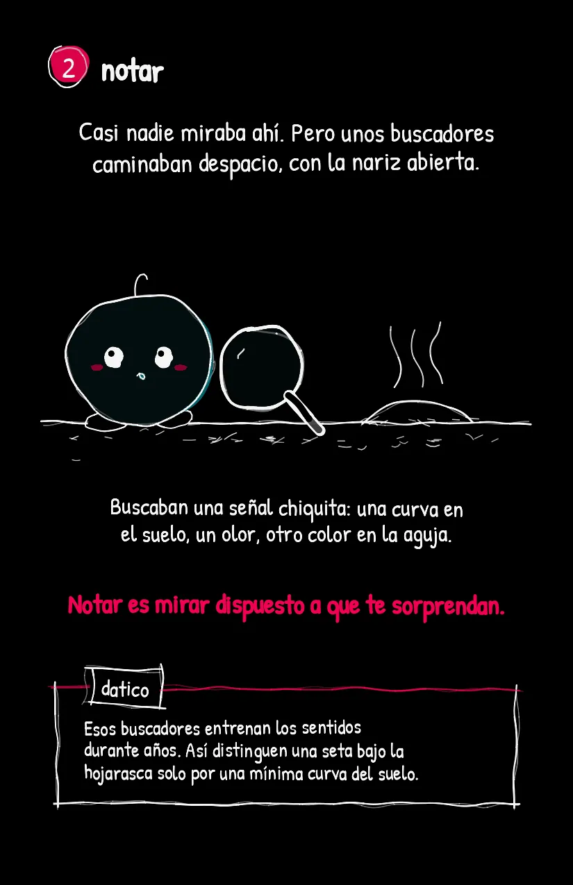 Setita, página 3