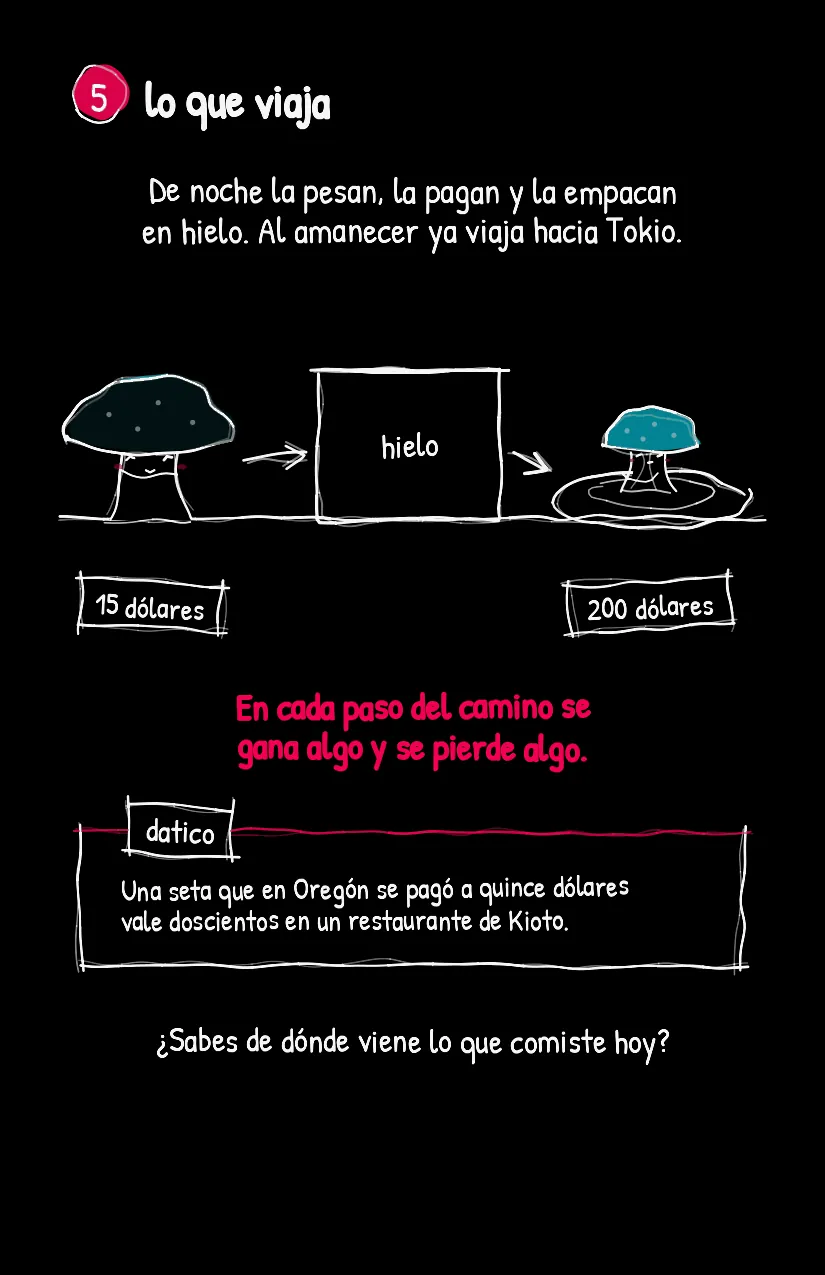 Setita, página 6