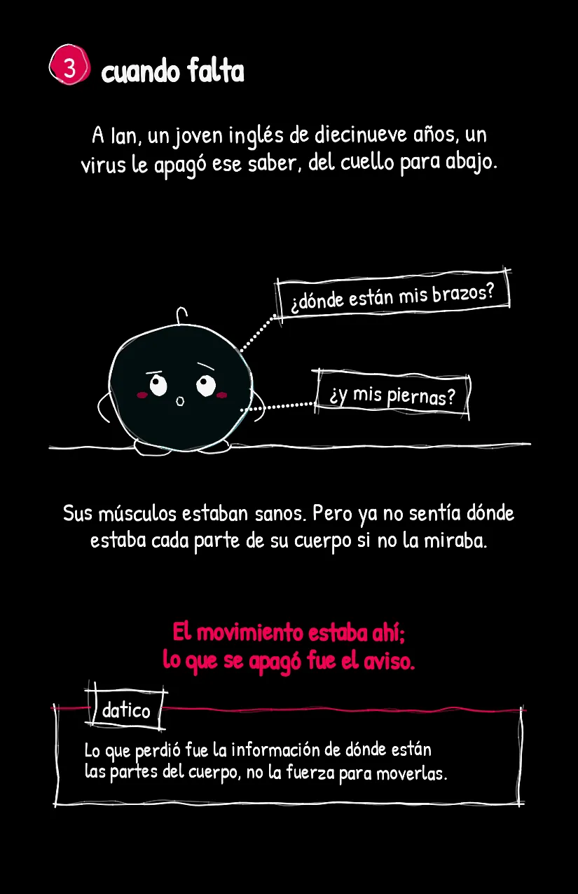 Tacita, página 4