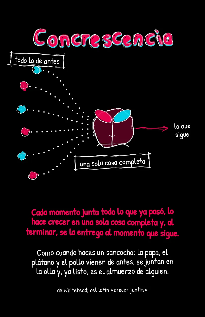 Palabritas Conocer, página 4