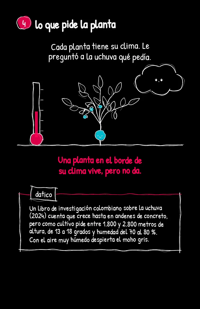 Lotecito, página 5