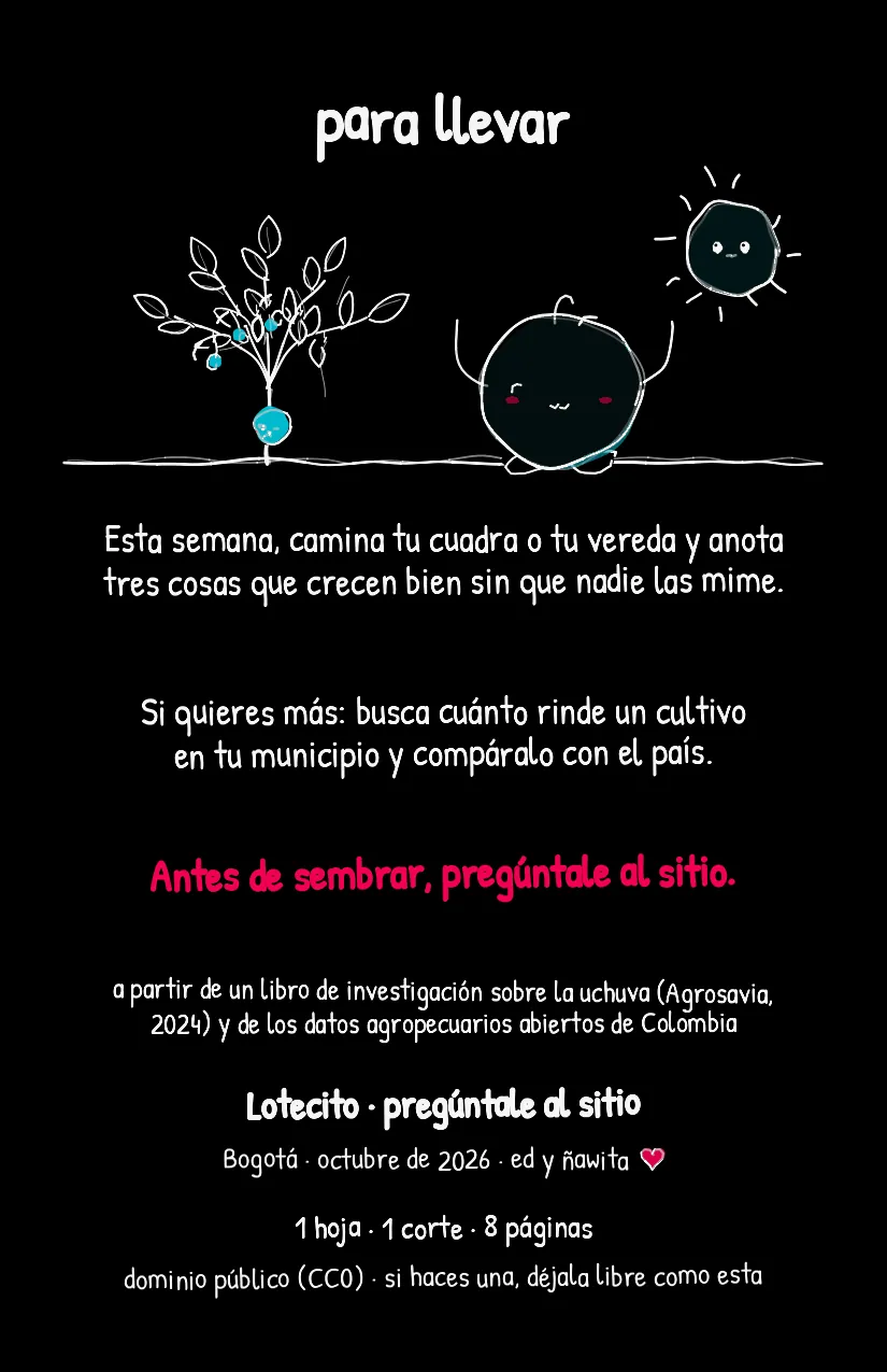 Lotecito, página 8